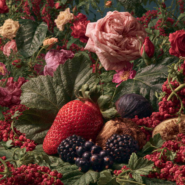 Blooms & Black Currants Fragrance Oil 1018