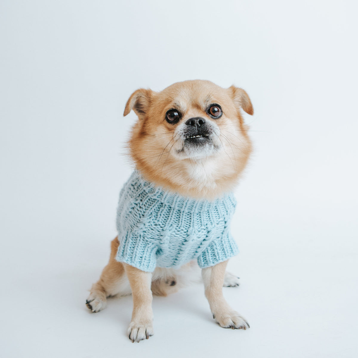 Pet Cable Knit Sweater - Light Blue