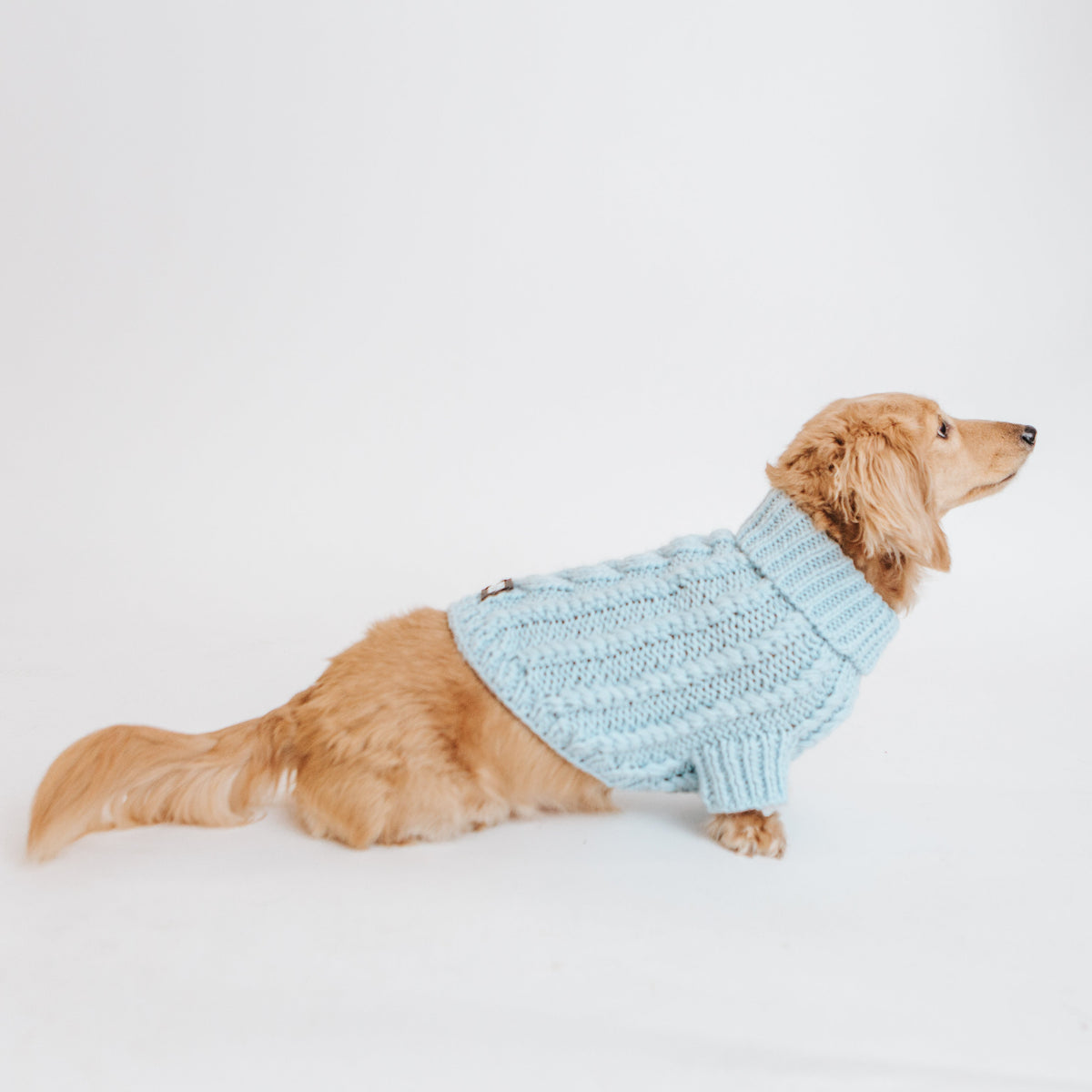 Pet Cable Knit Sweater - Light Blue