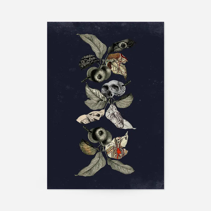 Botanical Skulls Navy Print art with skull, moths, and apples on a dark blue background.