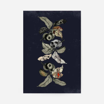 Botanical Skulls Navy Print art with skull, moths, and apples on a dark blue background.