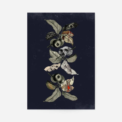 Botanical Skulls Navy Print art with skull, moths, and apples on a dark blue background.