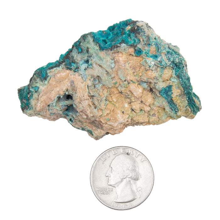 Chrysocolla w/ Gem Silica - Rough