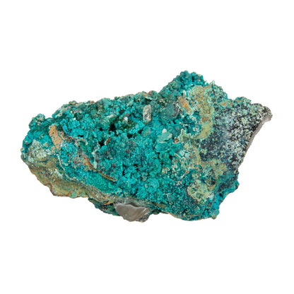 Chrysocolla w/ Quartz - Rough