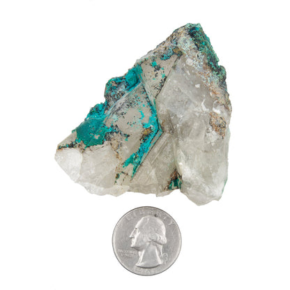 Chrysocolla w/ Quartz