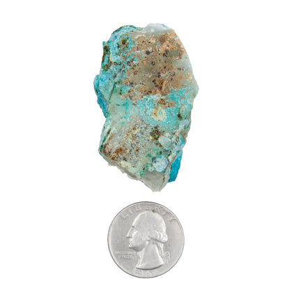 Chrysocolla w/ Quartz
