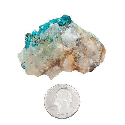 Chrysocolla w/ Quartz