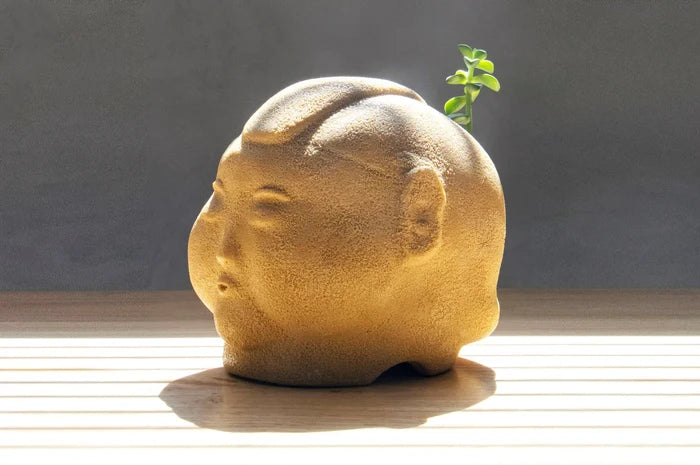 CHUNK MOHAWK PLANTER by Jim Dreams