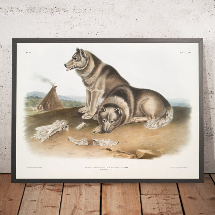 A framed image of