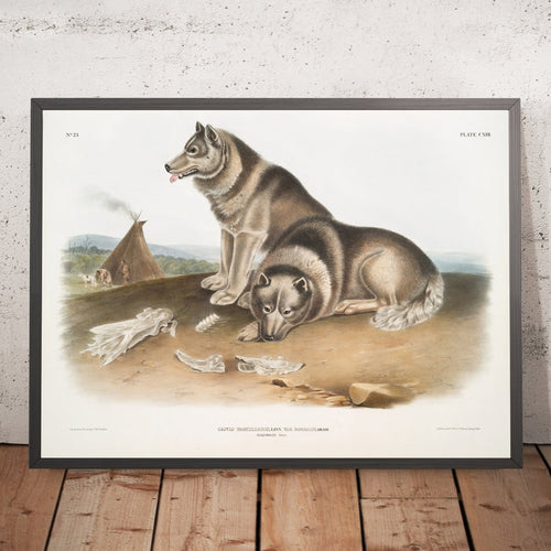 A framed image of