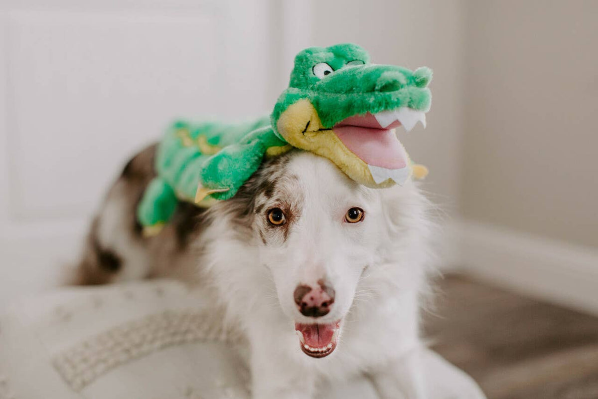 Outward Hound Squeaker Matz Gator Plush Dog Toy Green XXL