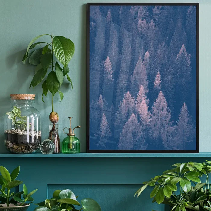 Framed forest print with blue and pink color shift, displayed on a shelf with plants.