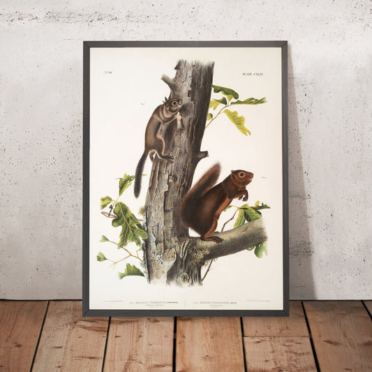 A framed image of
