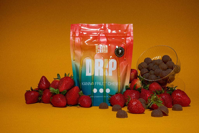 Fun Guy - Drip Fruit Chews: 60 count