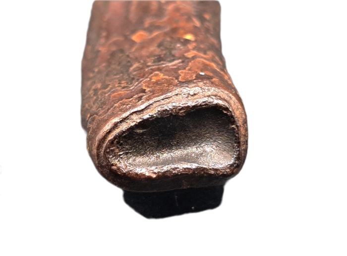 Giant Sloth Tooth, Florida Pleistocene