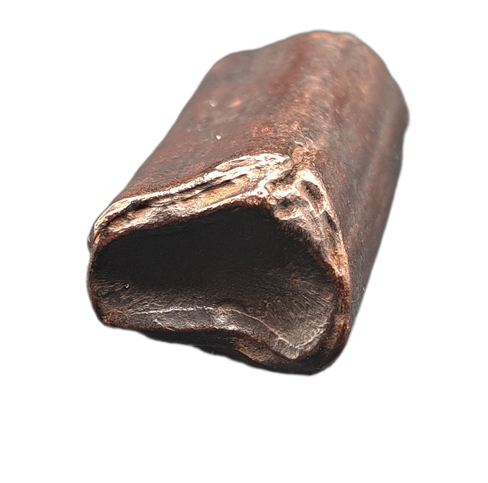 Giant Sloth Tooth, Florida Pleistocene