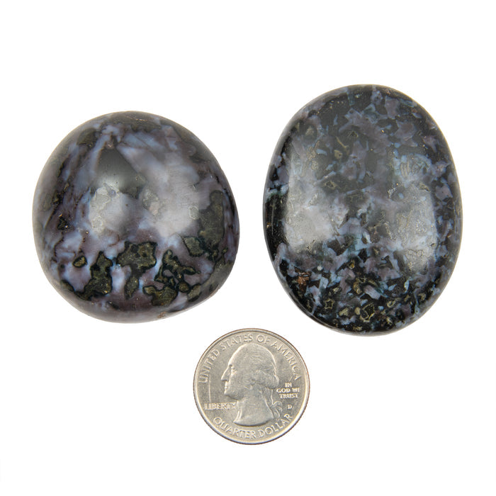 Indigo Gabbro - Palms