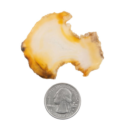 Iris Agate - Slab