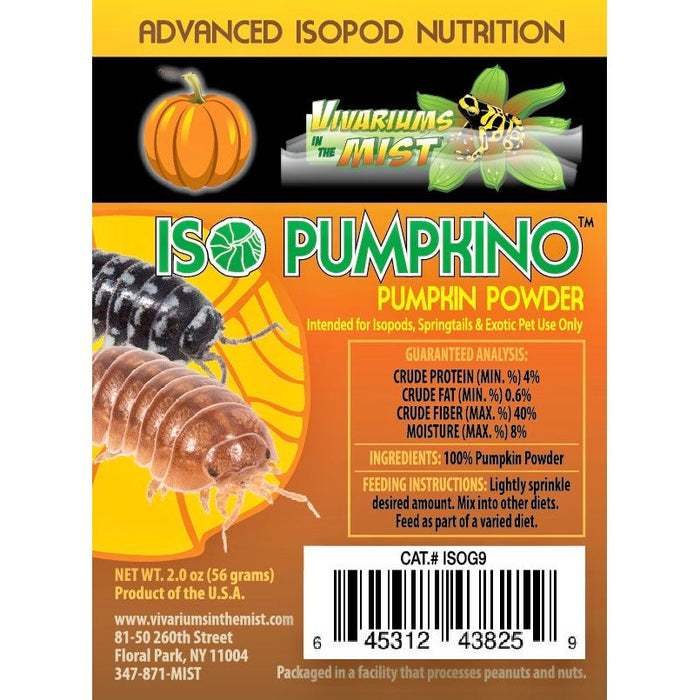 Iso Pumpkino