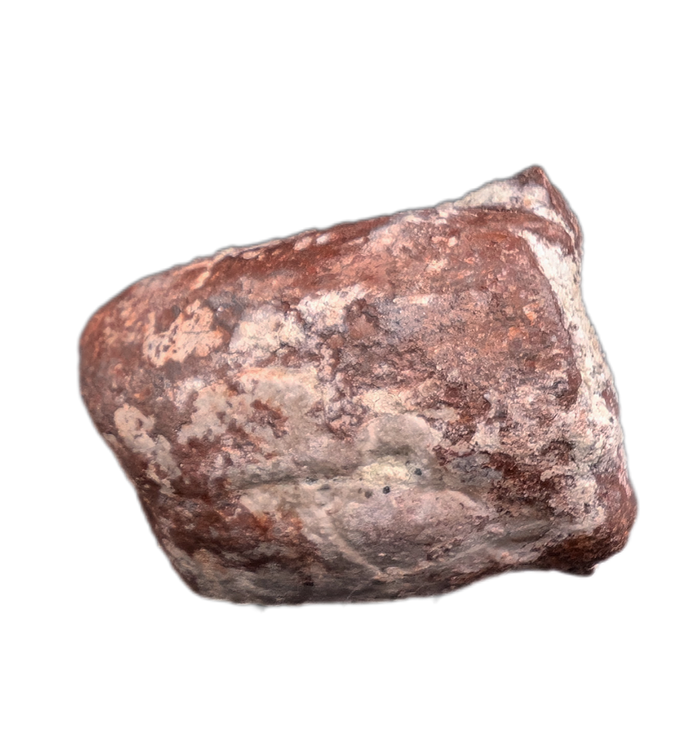 Large Coprolite, Chinle Formation