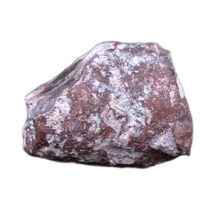 Large Coprolite, Chinle Formation