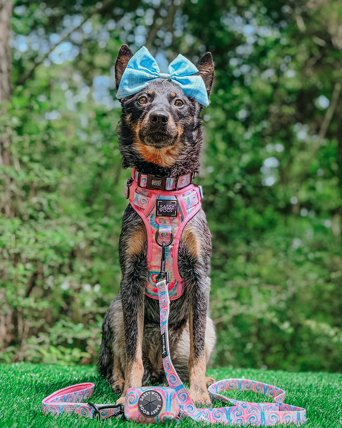 Dog Step-in Harness - Good Vibes