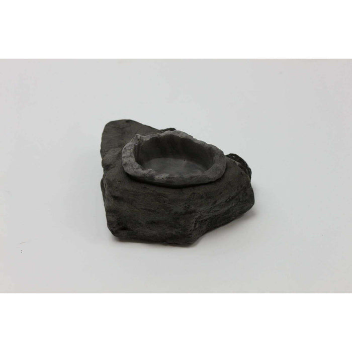 MagNaturals Magnetic Feed & Water Ledge:Jungle Bob's Reptile World