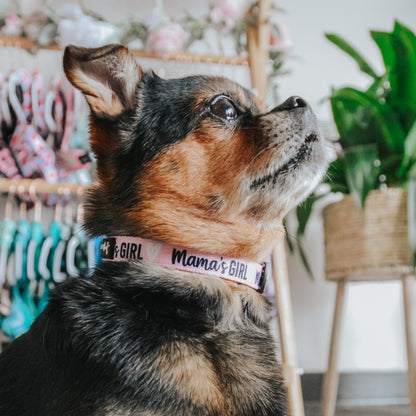 Dog Collar - Mama's Girl