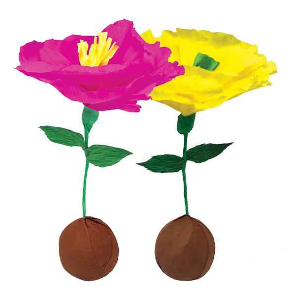 Mini Surprize Ball Flower Bulb