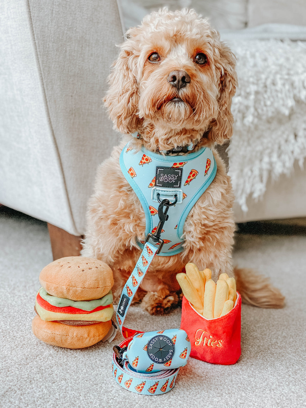 Dog Collar - One Hot Pupperoni