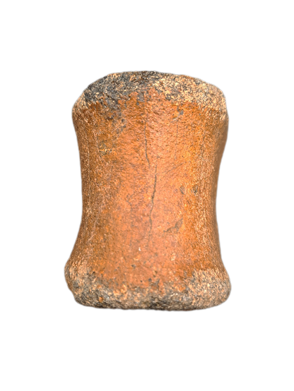 Ouranosaurus Vertebrae