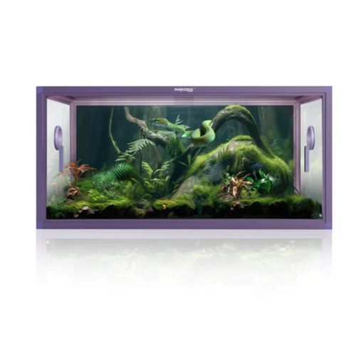 Phailozoo Bioactive Terrarium Reptile Enclosure 50 Gallon 36"x18"x18" Royal Purple 50PR