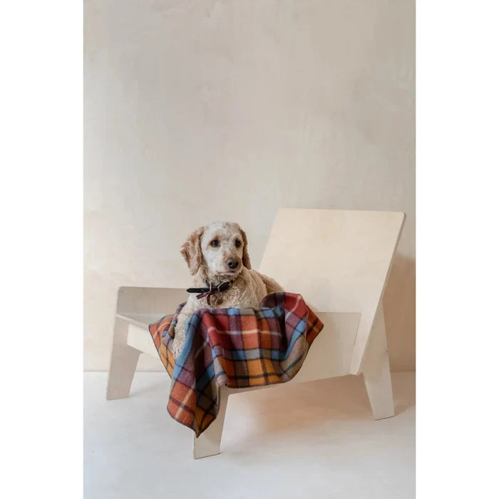 Recycled Wool Small Pet Blanket | Buchanan Antique Tartan