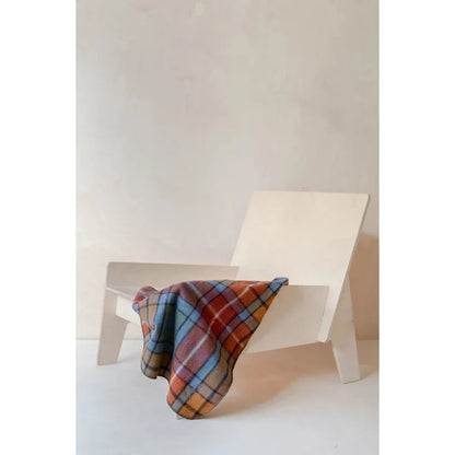 Recycled Wool Small Pet Blanket | Buchanan Antique Tartan