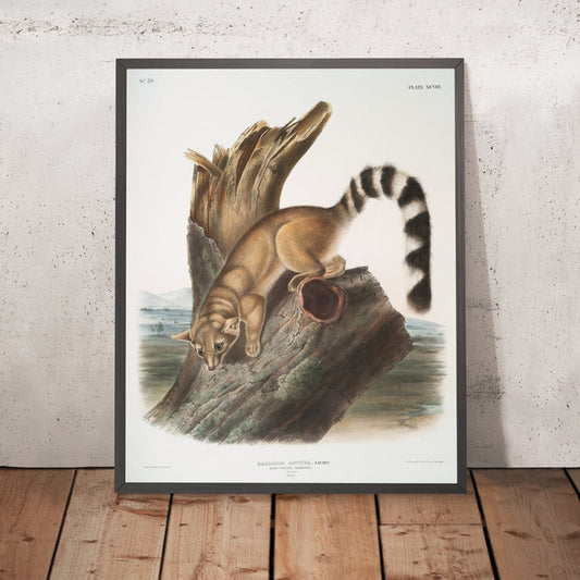 A framed image of