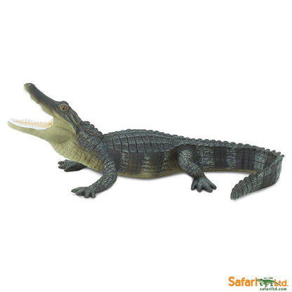 Safari Alligator