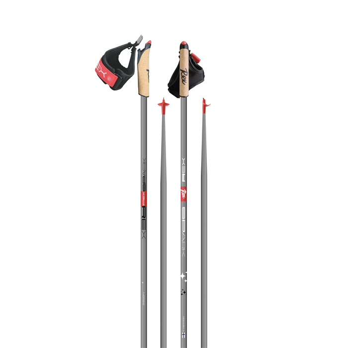 Entry Level Cross Country Ski Pole
