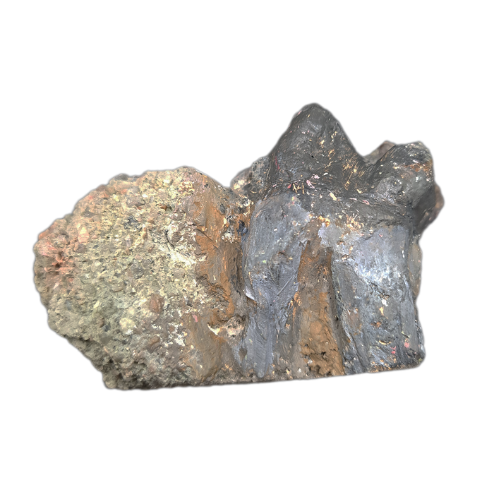 Titanothere Tooth,  Brule Formation