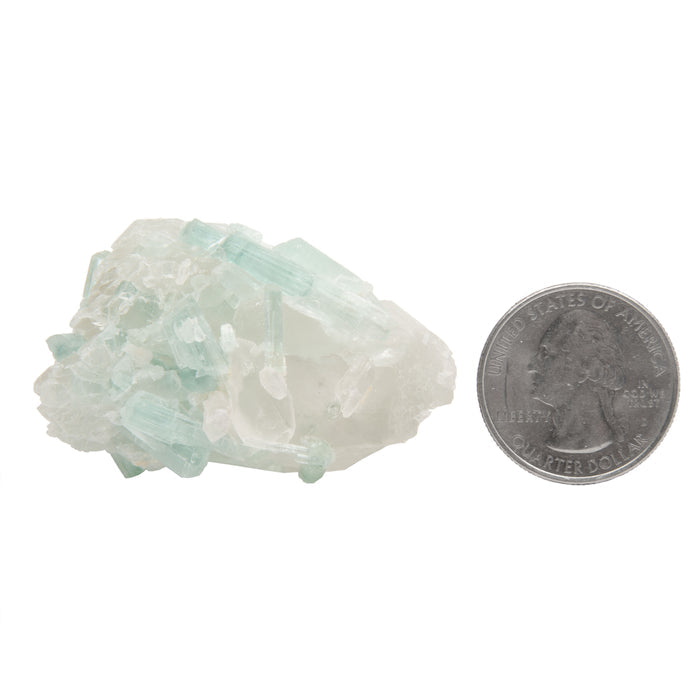 Tourmaline - Blue/Green & Clear in Quartz