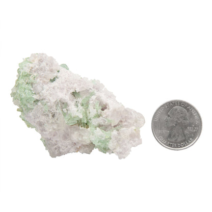 Tourmaline - Green in Clevelandite w/ Quartz & Kunzite
