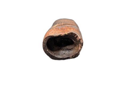 Tyrannosaur Tooth, Judith River Formation