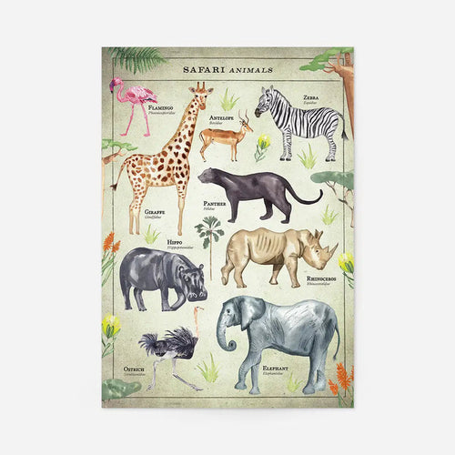 Vintage-style educational poster with colorful safari animals like giraffe, zebra, elephant, and rhino on a light background.