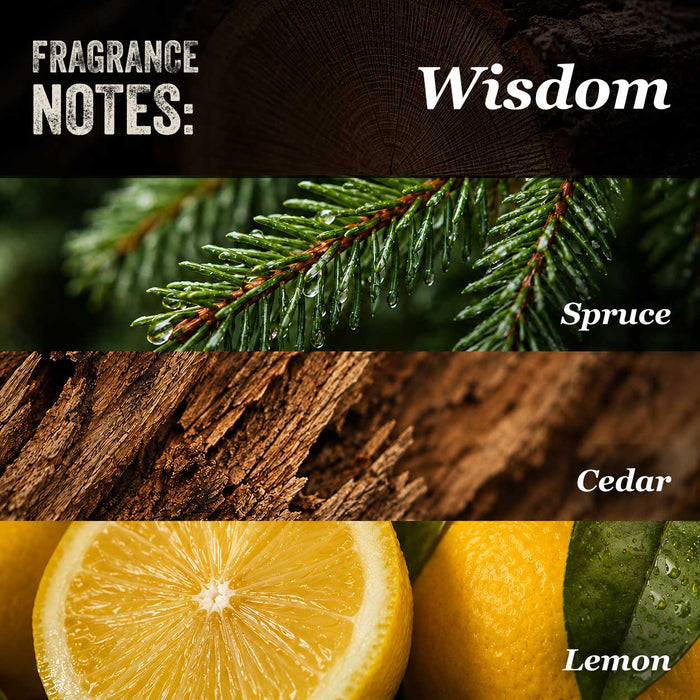 Wisdom Dry Oil: Bright and Woodsy Beard Balm
