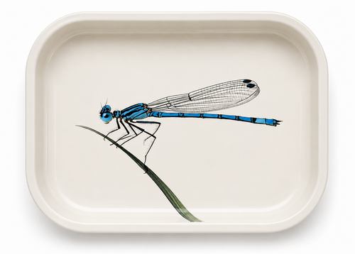 World Buyers - Blue Damselfly Metal Tray - MT103
