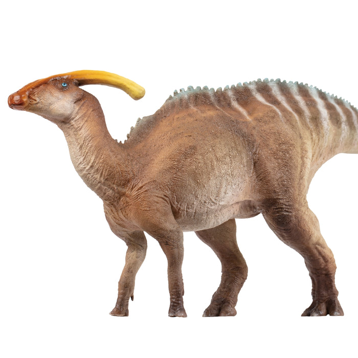 Wyatt the Parasaurolophus, PNSO