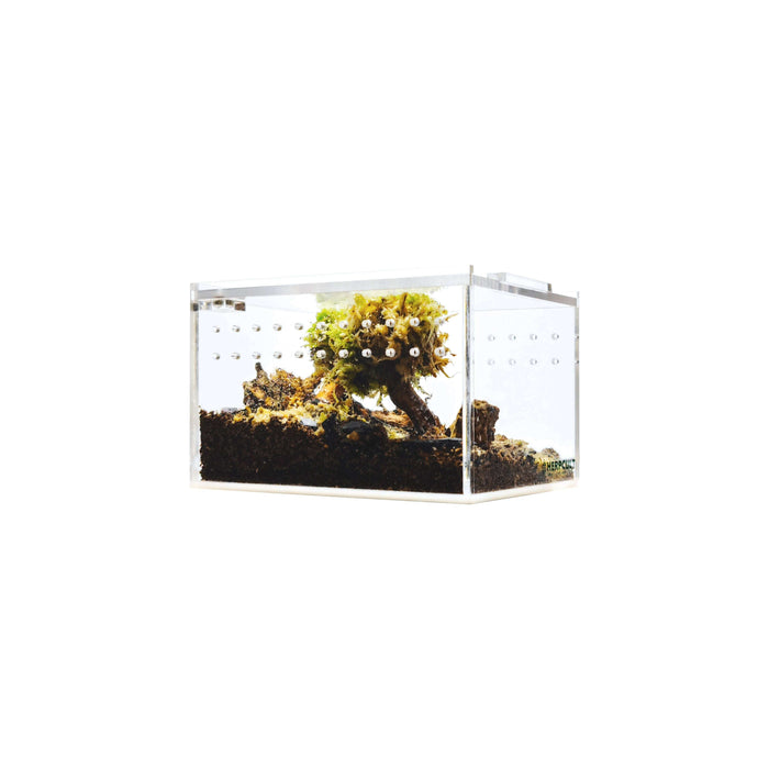 YKL09 HerpCult Acrylic Terrarium Enclosure with Magnetic Lid for Reptiles Mini Flat (4.3in x 3.4in x 2.8in):Jungle Bob's Reptile World