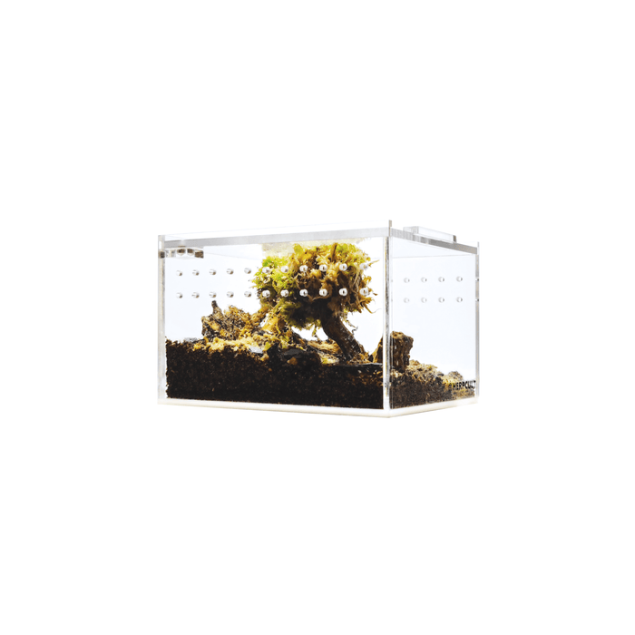 YKL09 HerpCult Acrylic Terrarium Enclosure with Magnetic Lid for Reptiles Mini Flat (4.3in x 3.4in x 2.8in):Jungle Bob's Reptile World