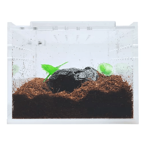 YKL 09 Herp Cult Acrylic Terrarium Enclosure with Magnetic Lid for Reptiles Mini Flat (4.3in x 3.4in x 2.8in):Jungle Bob's Reptile World