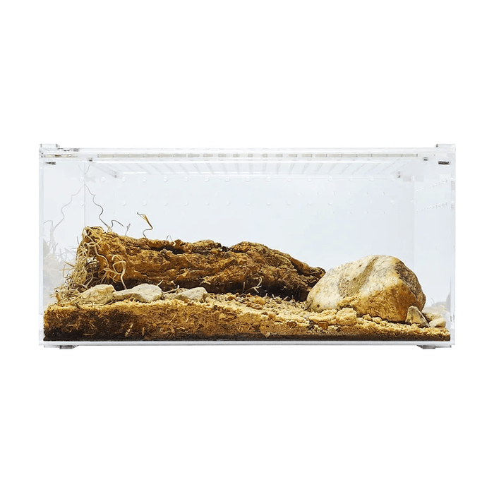 YKL25A HerpCult Large Flat Acrylic Enclosure with Magnetic Lid for Reptiles 12" x 8" x 6":Jungle Bob's Reptile World