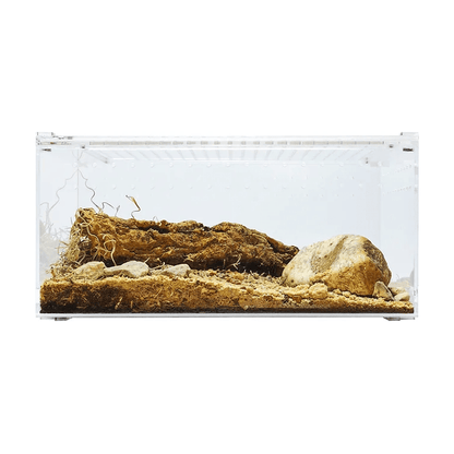 YKL25A HerpCult Large Flat Acrylic Enclosure with Magnetic Lid for Reptiles 12" x 8" x 6":Jungle Bob's Reptile World